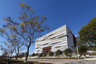 武漢理工大學(xué) vs 西安電子科技大學(xué) 建筑工程設(shè)計(jì)及咨詢領(lǐng)域深度對(duì)比